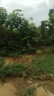 Filin 1400sqm Don Siyara a Kasar Udoudoma Worship Center, Uyo - 2