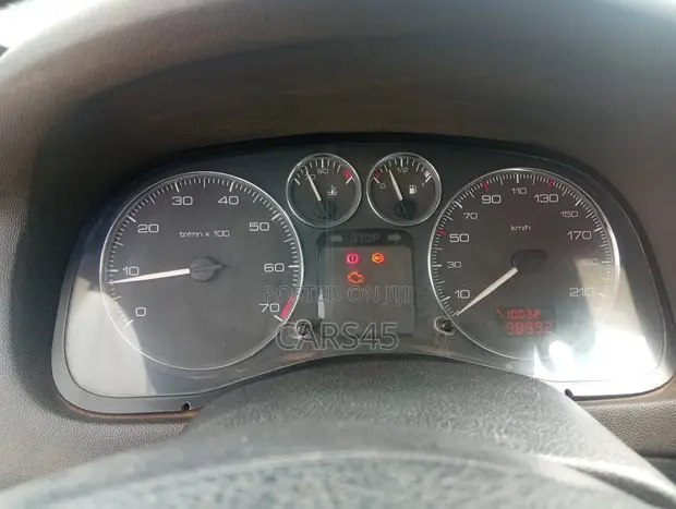 Peugeot 307 2008 Gray - 1