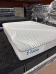Kelly Homies Orthopedic Mattress - 1
