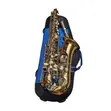 Selmer Alto Saxophone - Brand New - 1