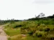 900 Plots of Land for Sale in Ubakala, Umuahia - 1