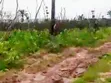 900 Plots of Land for Sale in Ubakala, Umuahia - 2