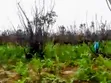 900 Plots of Land for Sale in Ubakala, Umuahia - 3