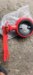 Butterfly Valve 4" Wafer Type Lever Operated Ductile Iron Red - 2