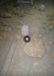Private Brooder for 5000 Chickens - 1
