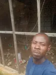 Private Brooder for 5000 Chickens - 2
