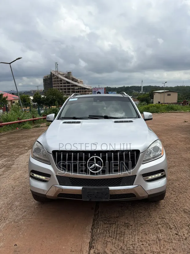 2013 Mercedes-Benz ML350 Silver - 1
