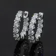 VVS Moissanite Earrings - 2