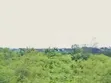 4 Plots na Kasa don Siyarwa, Okwuta Ibeku, Umuahia - 2