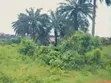 4 Plots na Kasa don Siyarwa, Okwuta Ibeku, Umuahia - 3
