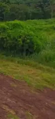 464 sqm Mixed-Use Land for Sale in Etche, Rivers State - 2