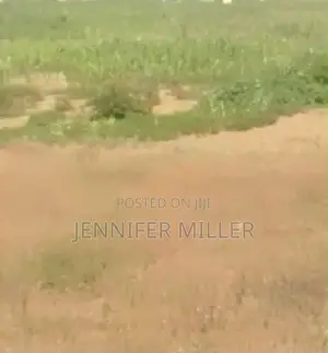 464 sqm Mixed-Use Land for Sale in Etche, Rivers State