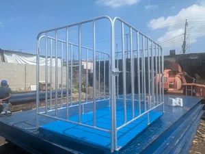 Weighnow Heavy-Duty Cattle Scale 6x4ft