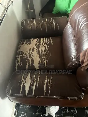 Four Used Chairs with Good Foam