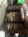 Four Used Chairs with Good Foam - 3