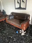 Four Used Chairs with Good Foam - 4