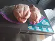 Clean Processed Frozen Whole Chicken (Cartons) - 1