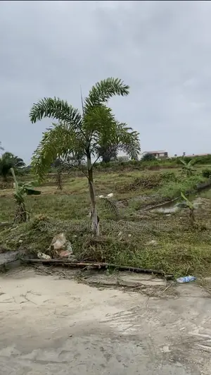 Serviced Land for Sale in Beechwood Estate, Adiva III