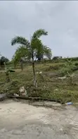 Serviced Land for Sale in Beechwood Estate, Adiva III - 3