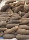 Maria Prime Food - Quality Foodstuffs - 3