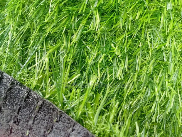 Standard Artificial Grass Carpet 25mm - 1