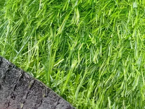 Standard Artificial Grass Carpet 25mm