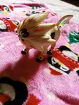 BabySmart Baby & Toddler Toys - 4