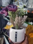 VIP Brand Multicolor Cup Flower for Table - 1
