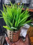 VIP Brand Multicolor Cup Flower for Table - 4