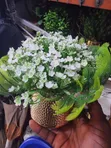 VIP Brand Multicolor Cup Flower for Table - 5