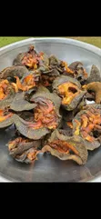 Sabo Sea Food - Agbodo, Shawar, Eja Osan, Ede Pupa - 3