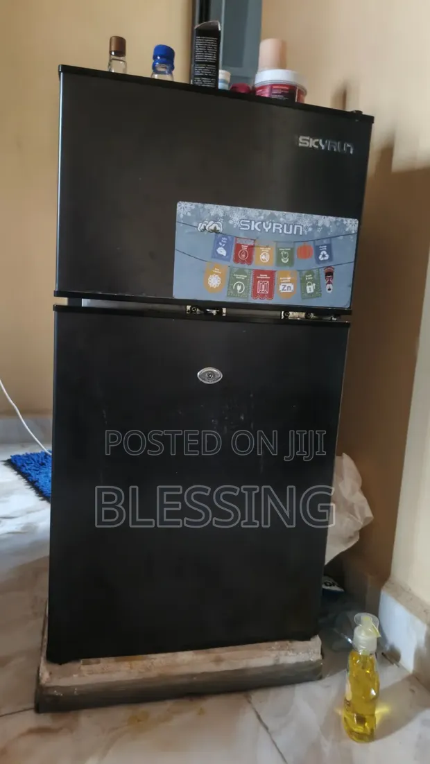 Skyrun Refrigerator - Used - 1