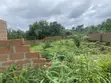75 Plots of Land for Sale in Umuahia (Bulk Deal) - 2