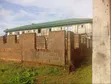 Land for Sale - 100ft x 106ft with C of O, Benin City - 5