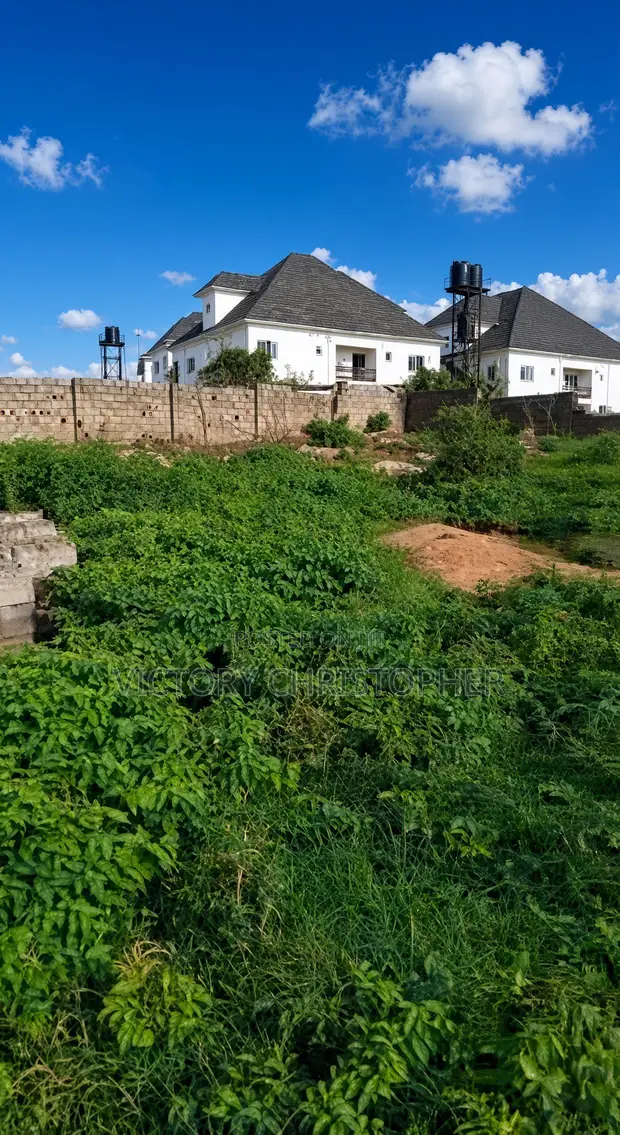 2000sqm Residential Land for Sale in Wuye, Abuja - 1