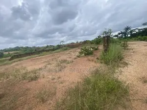 890 Plots of Land for Sale in Ubakala, Umuahia (Bulk Deal)