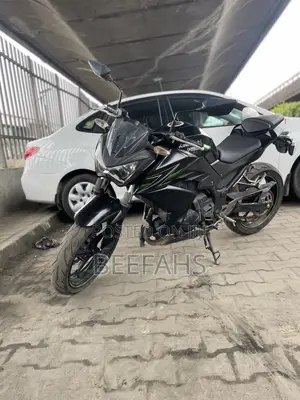 Kawasaki Z400 2018 Baki