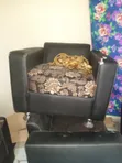 Used Cushion Set for Sale - 1