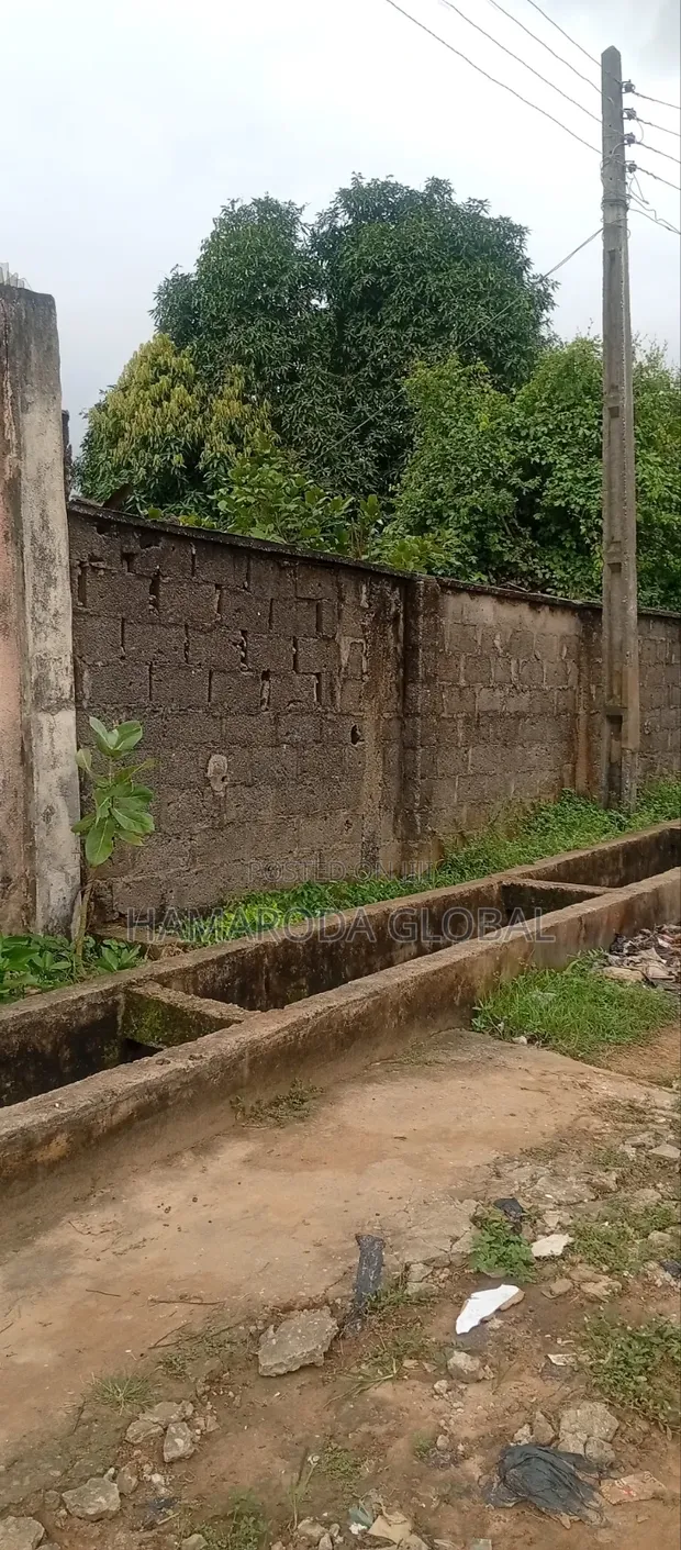2 Plots of Land for Sale in Adexson, Igando - 1