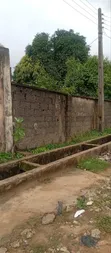 2 Plots of Land for Sale in Adexson, Igando - 1
