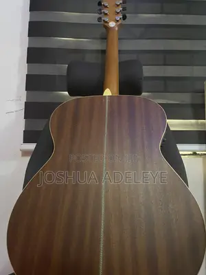 Martin Guitars Semi-Acoustic Guitar
