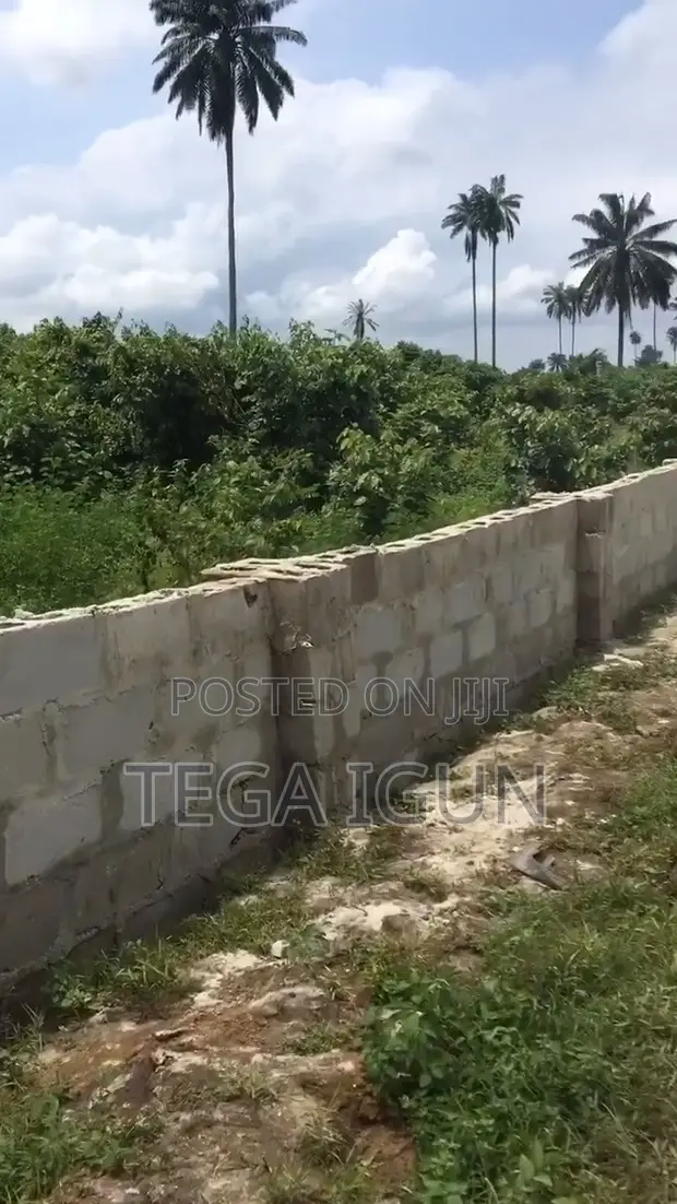 Maple Residence: Filin Zama a Eneka Mai Ci Gaba - 1