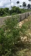 Maple Residence: Filin Zama a Eneka Mai Ci Gaba - 2