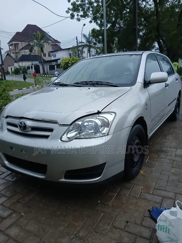 Toyota Corolla Fielder 2006 Silver - 1