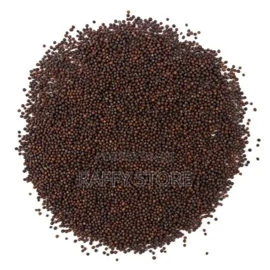 Black Mustard Seeds (Brassica nigra) - 1