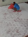 Painting, Screeding & POP Installation Services - 5