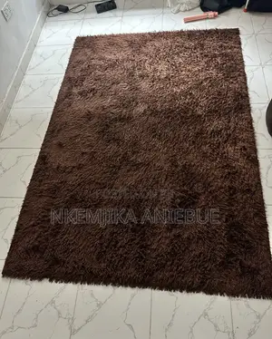 Brown Shaggy Area Rug