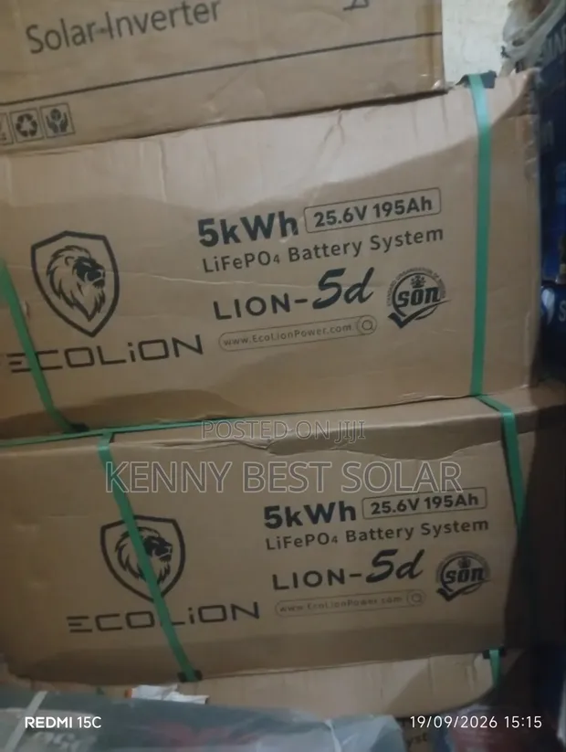Ecolion 5kWh 24V Lithium-Ion Battery - 1