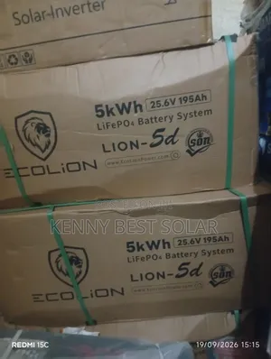 Ecolion 5kWh 24V Lithium-Ion Battery