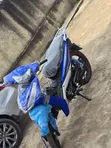 New Kymstone Husky 2026 Blue - 3